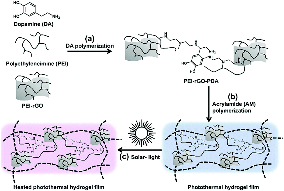 https://pubs.rsc.org/image/article/2019/tb/c9tb00481e/c9tb00481e-f1_hi-res.gif