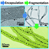 Graphical abstract: Ultralong gold nanoparticle/block copolymer hybrid cylindrical micelles: a strategy combining surface templated self-assembly and Rayleigh instability