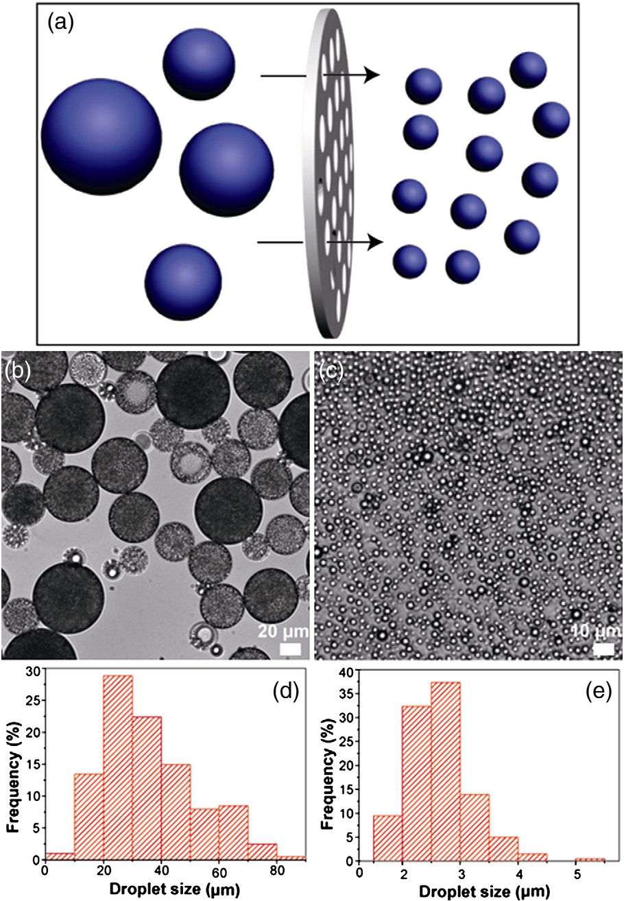 xu-2012-generation of polymer