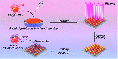 Graphical abstract: Segmental Janus nanoparticles of polymer composites